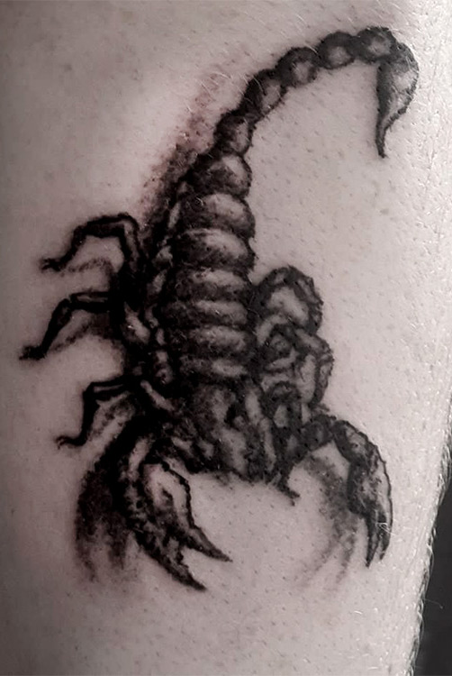 Tattoo eines Skorpions in Dot-Art Technik